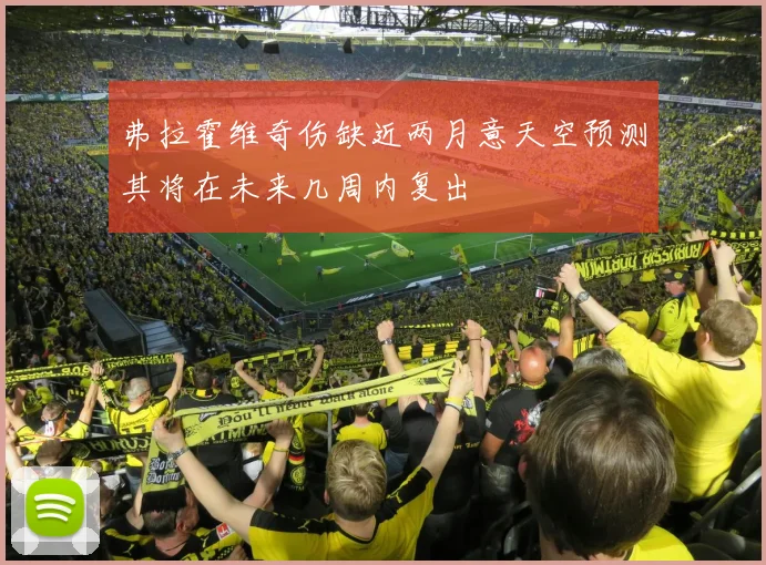 弗拉霍维奇伤缺近两月意天空预测其将在未来几周内复出
